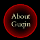 About Guqin